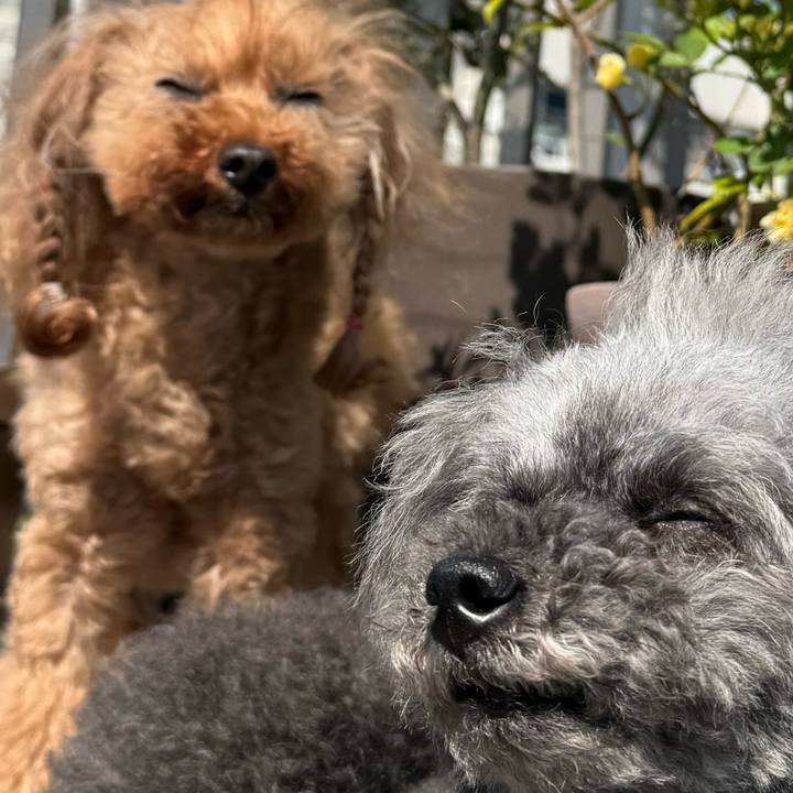 85814995 6a24 4799 b3ae 707bf1d63399 1746229512843