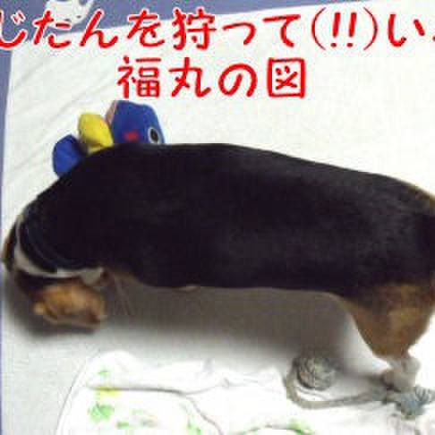 85815fbb 7447 4905 9851 4d8526286faa 1691016212258