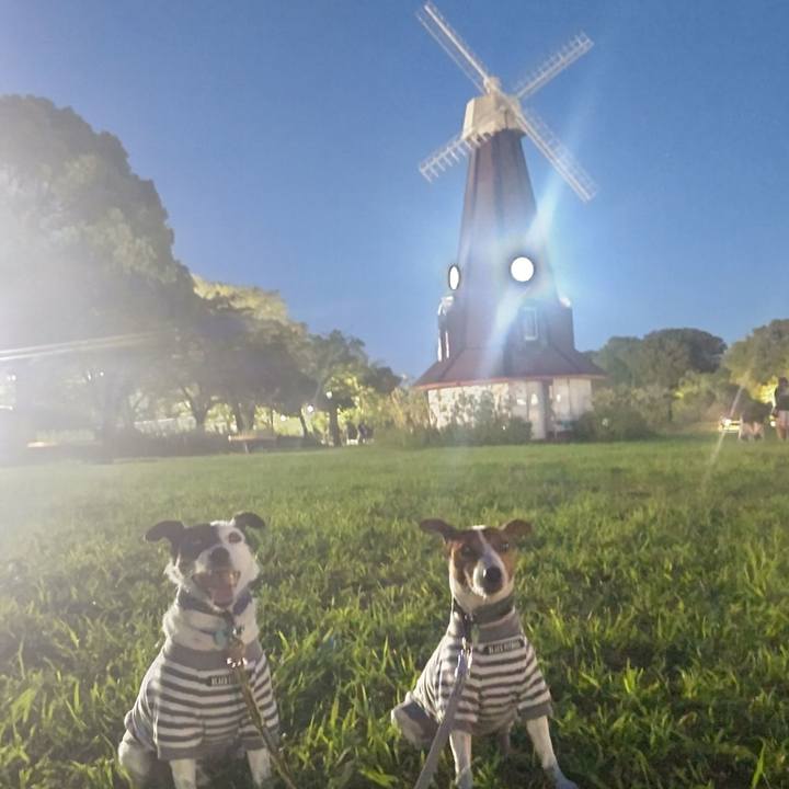 858168cc 371a 4495 9519 530e76c6efc3 1695032734917