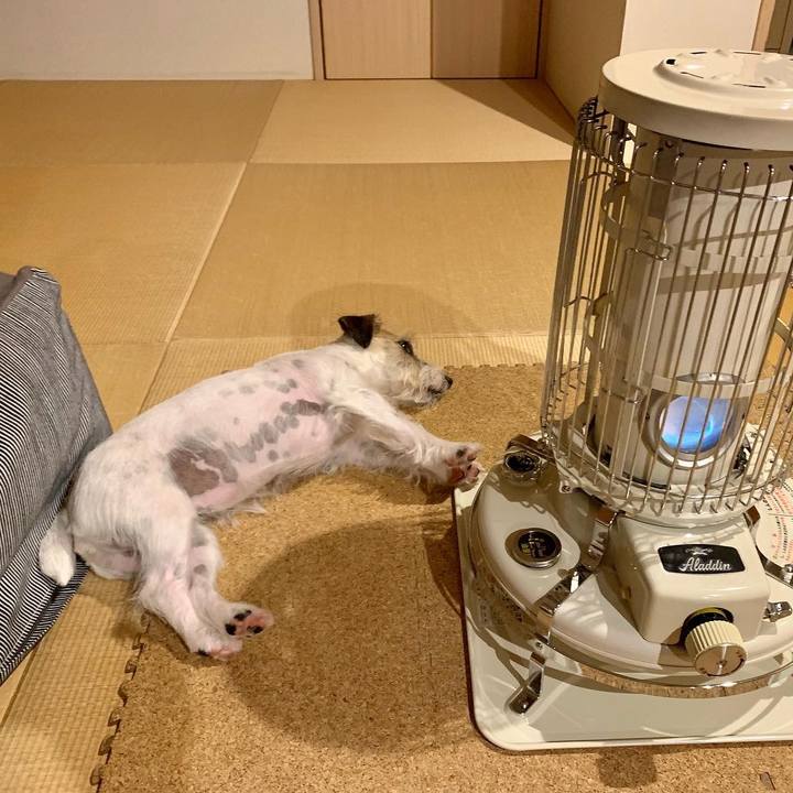 858172e8 16a2 43d4 9e7e 1042eacae8d2 1666794025007