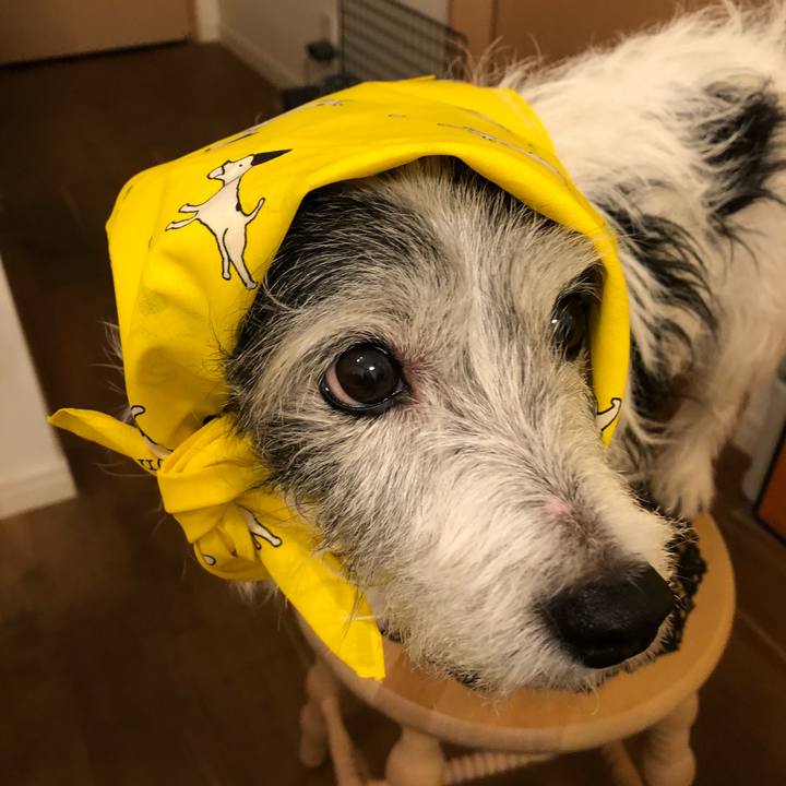 85818259 9373 46f3 9662 1dbccbdc43e4 1524399577722