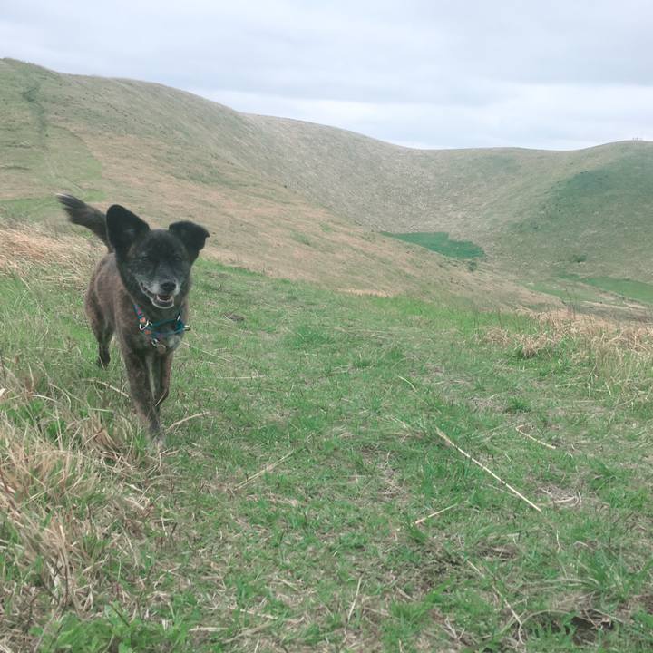 8581c6e9 405e 4f17 a317 dc21e56f8b05 1559474946941