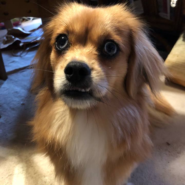 8581ce9a fdec 4602 8163 3dc45127bdfc 1528406729884