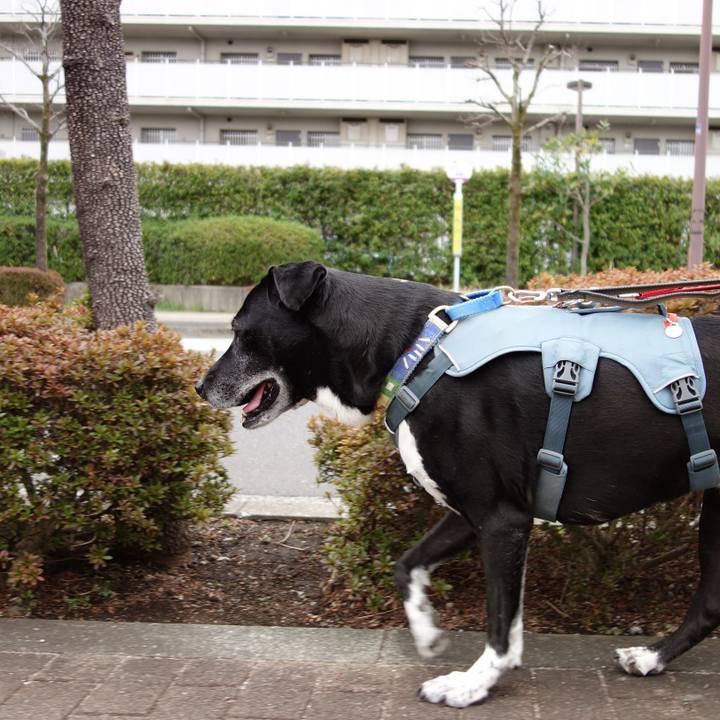 85820194 53b7 45f7 96bb 37f9d63fd1bb 1711586986114