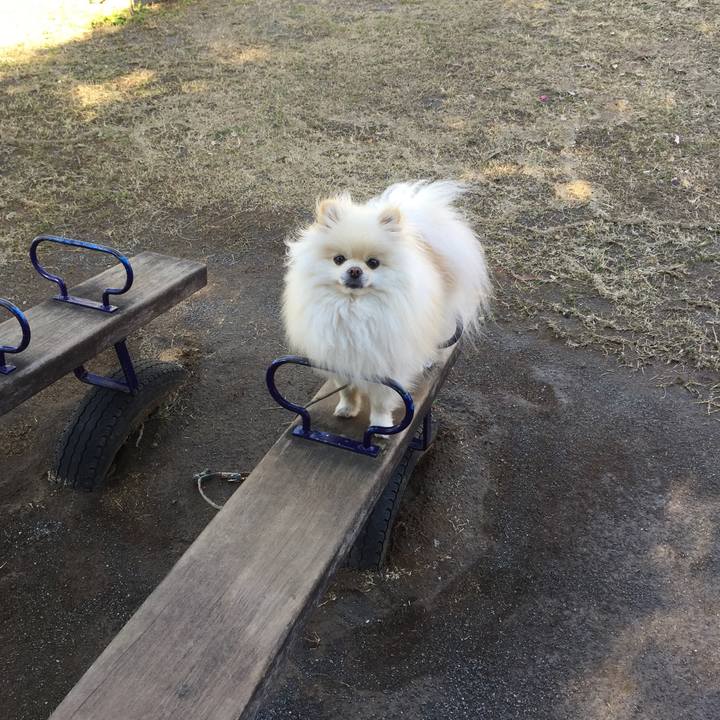 858208a8 0247 4302 b2a6 525fa448cfd0 1519884642495