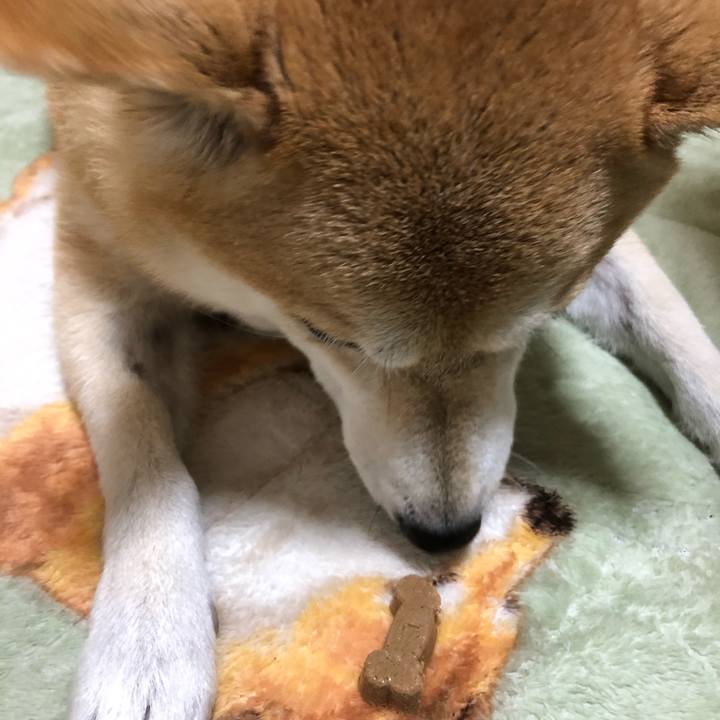 858220e5 8a0a 4c90 ac1b 47029e2ff08c 1606799540716