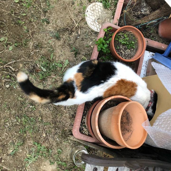 85822422 0094 42e2 b081 a39ff001e725 1608071238779