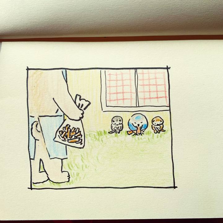 85822539 338a 4c97 84c9 122dfc03eefb 1677202242811