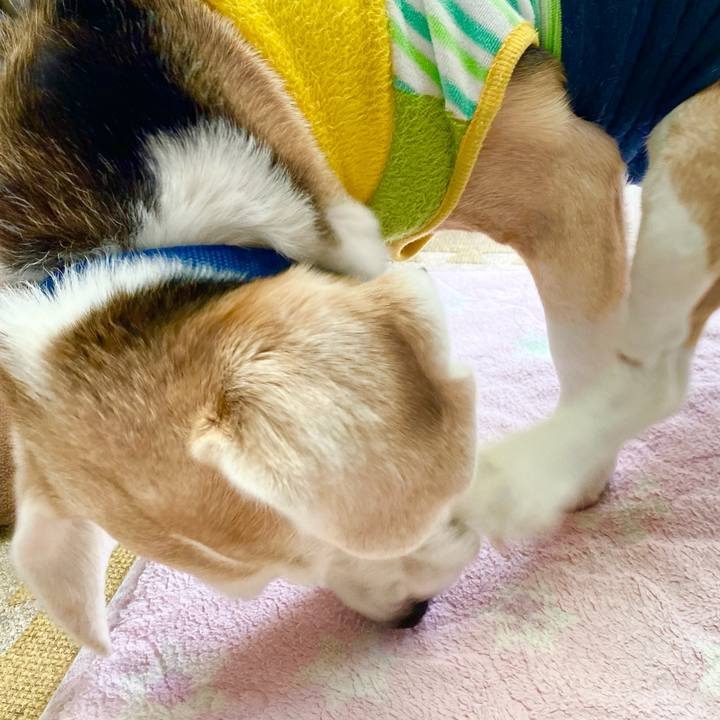 85823084 38d5 4e25 9f63 bb37cf2c4e6e 1619061519821