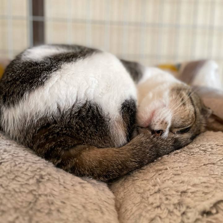 85823170 d829 4042 9d32 e1b89791416c 1624241131262