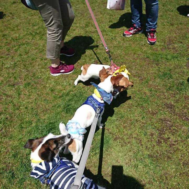 85825287 8785 40a1 8678 1dfa299deadc 1524407271195