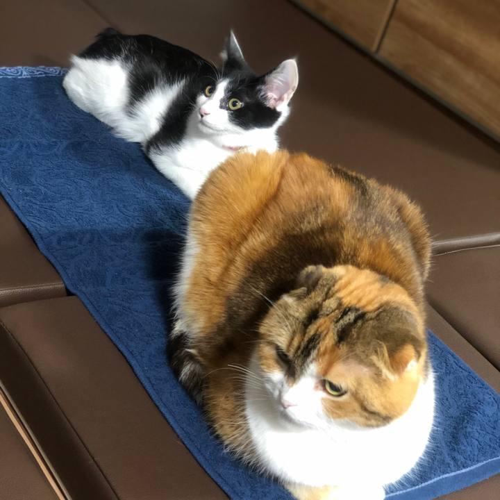 858253d0 d70d 4f9a bdc3 d43f2d3f1bfd 1613916188663