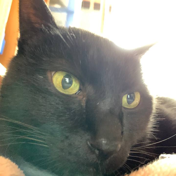 85829932 1909 4592 8d6c 9c0b61f60649 1581125540033