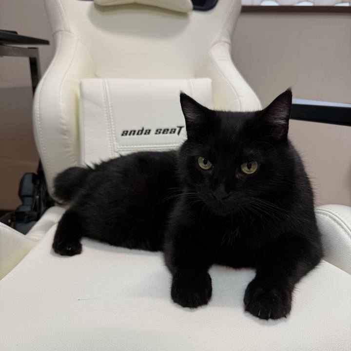 85829fbe 967c 4d4b 93b1 cd9061d055e7 1763168729407