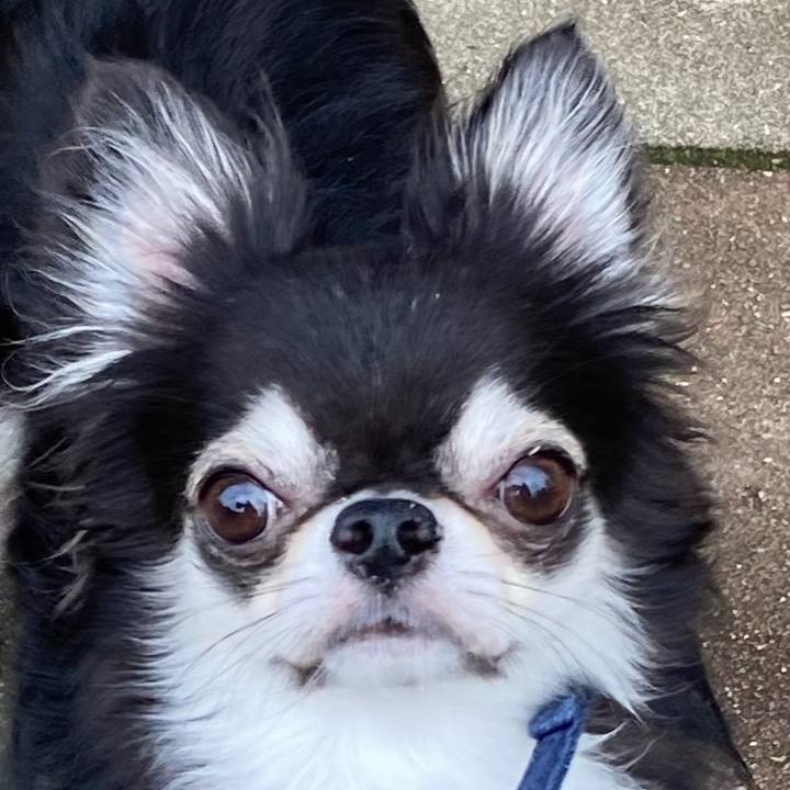 8582b766 cefc 4e71 8186 665561aa58f1 1662791723181