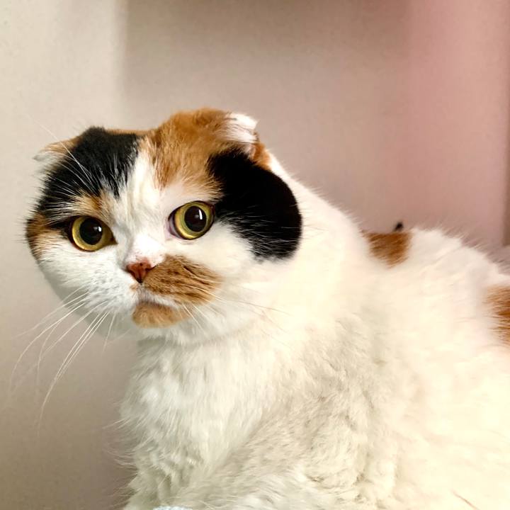 8582baf7 83c6 4ef3 b3e6 0589d8b2fbd7 1584920871351