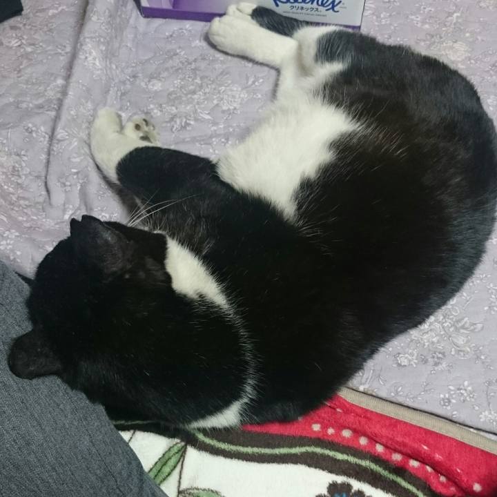 8582c0ba d332 4ced 885e 20e277320dcc 1522577264879