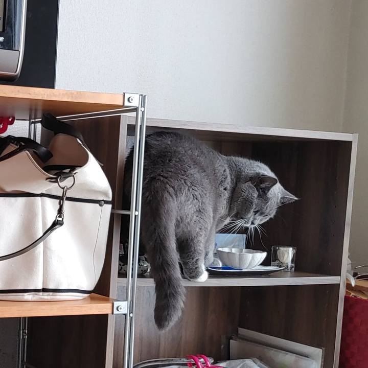 8582c587 ab32 49b0 ac1c 676919940128 1663368594842