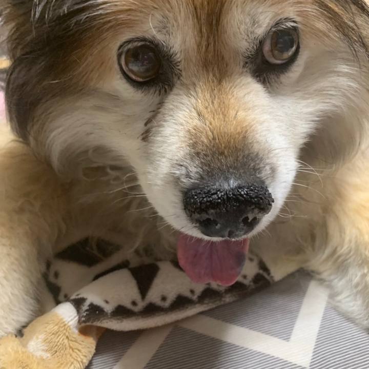 8582e4e7 18ca 4334 bf33 06c3c588acfb 1600390597928