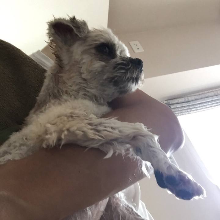 8582fc52 34b1 4633 a6dd 5d0c4459597b 1534130399398