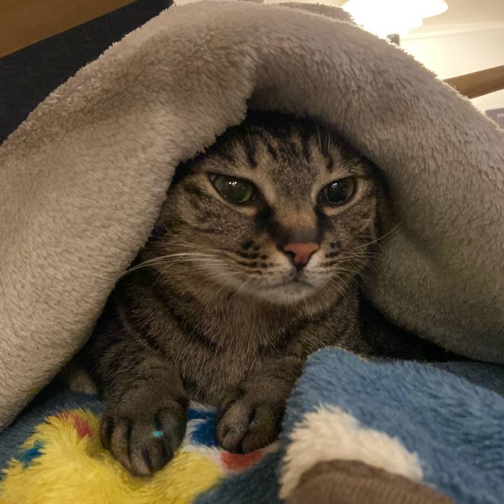 85831333 9937 436b 9fea 445a80d633c6 1644238334535