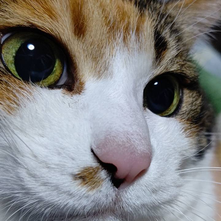 85836175 6fb1 4ede 943b 0e41519b0679 1608894694067