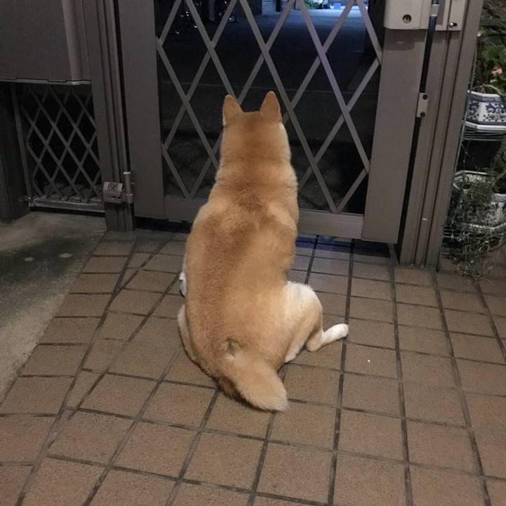 85836bae 9fb3 4883 806f 4a866749b186 1530579395669