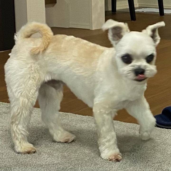 8583880a 526f 48b7 9398 66d14ec12ad1 1652701950001