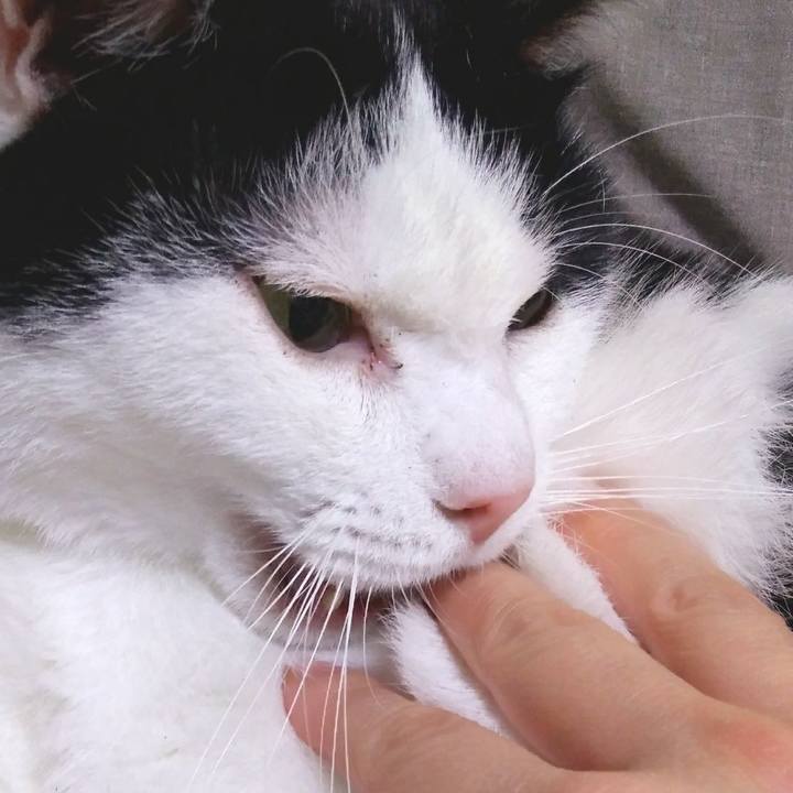 8583bb01 dc7d 4967 954d fe6616735677 1555501337890