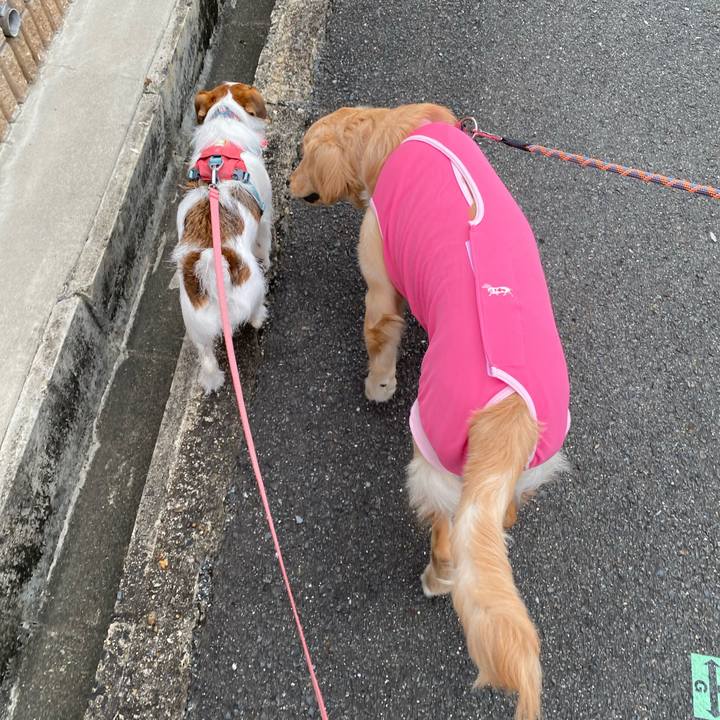 8583d73a b6e2 4d8b 984c 7f94dbd05023 1694643100529