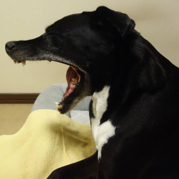 8583deaf ae56 4e19 9560 3191b390da63 1693220934770