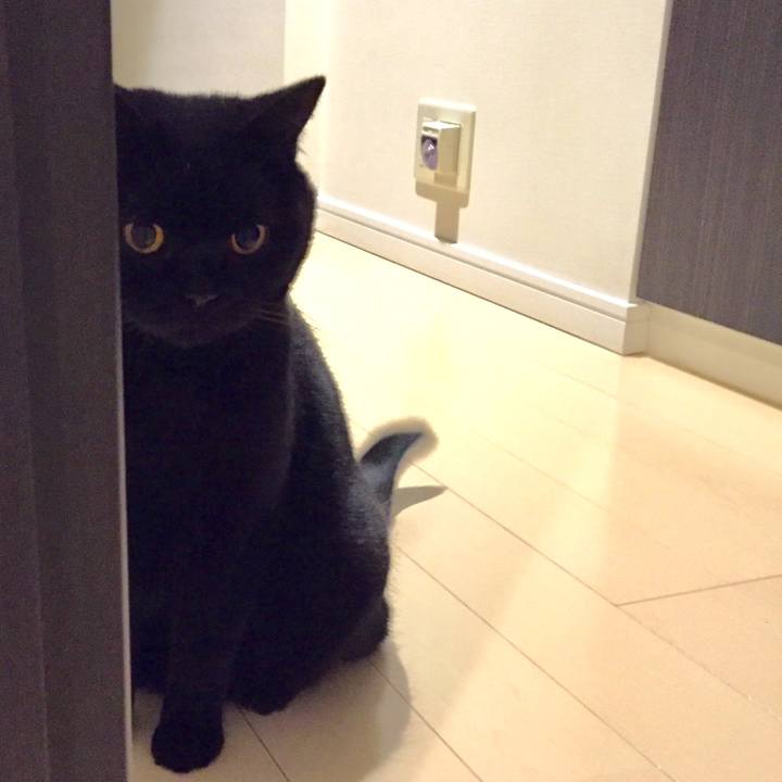 85846e5d ee0c 4025 8e3b 0e39e947e88c 1553260695068