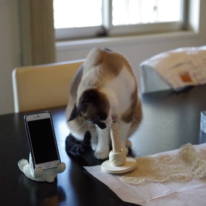 85847f14 6377 446a 99e0 fb12a935c513 1537238761647