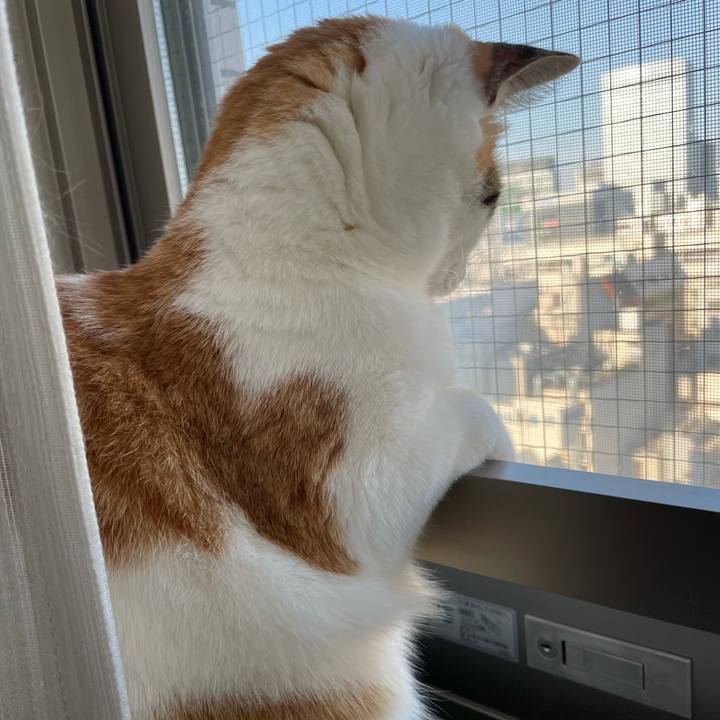 85848074 e776 4fdb bd49 86a0de2d0d87 1619137236941