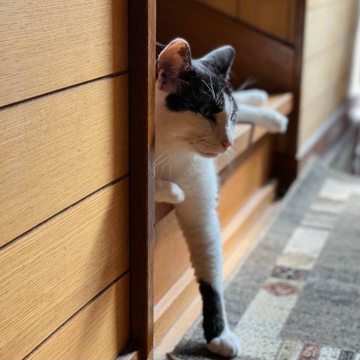 85848444 f6f4 4a0e 9cee a74d233cf05b 1660444869303