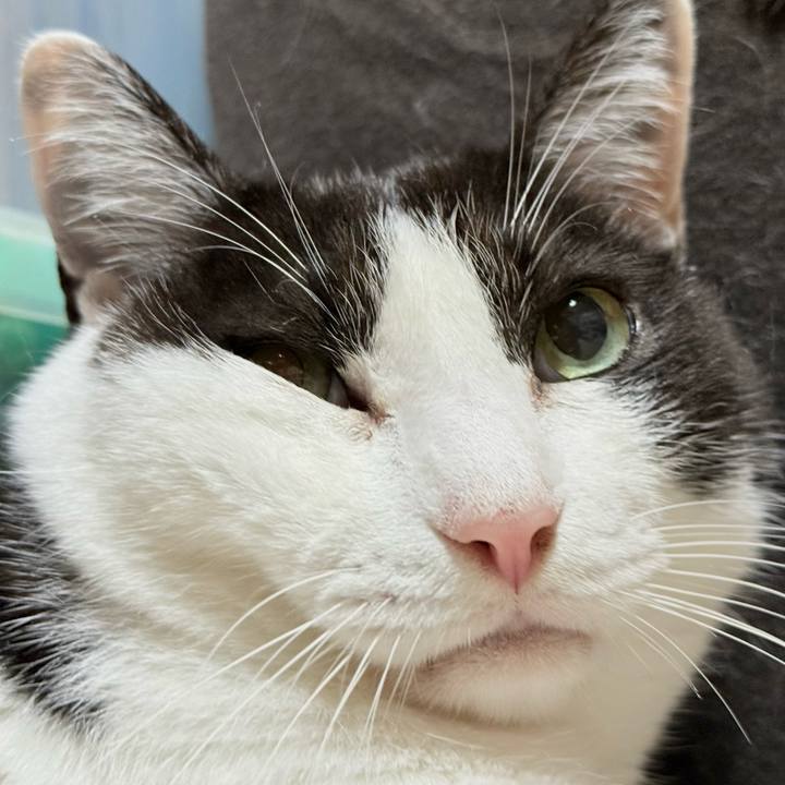 8584a4fa 726a 4b81 9619 038db1ce32d8 1750125754062