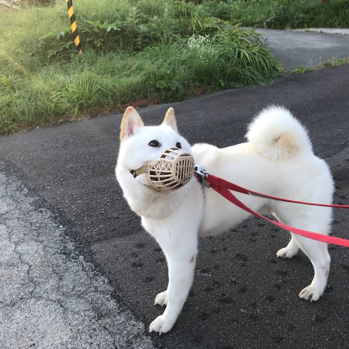 8584afd6 5c4e 427e a1ae e140e99c438e 1537439977716