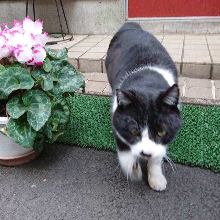 8584d215 19a8 4687 9de3 dad513f44809 1678751954028