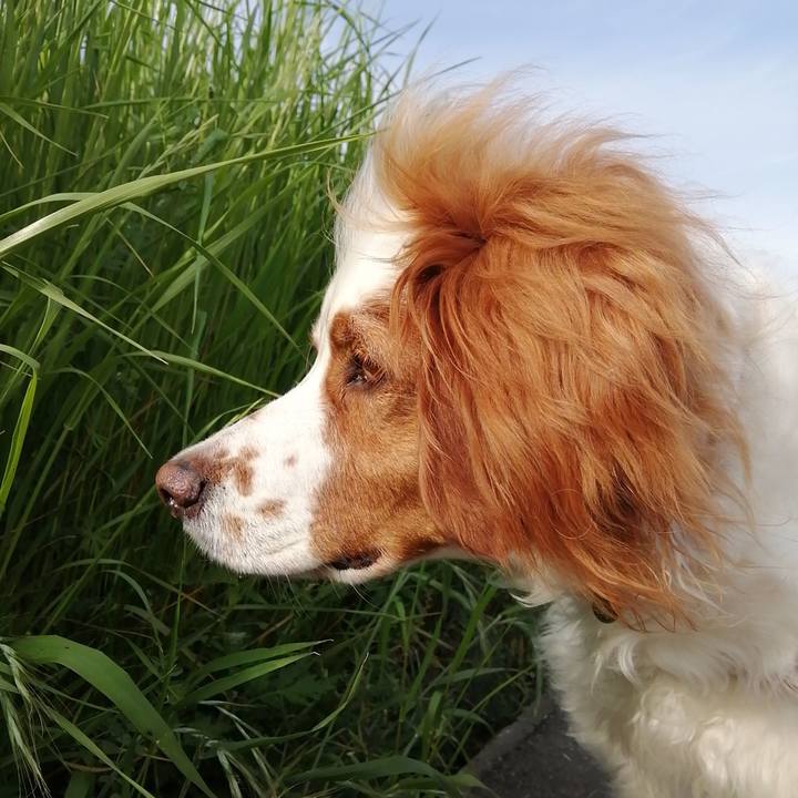 8584e9ce e09d 4d42 9ce3 3abee45959de 1588679275396