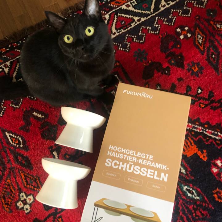 858555e3 19cc 47f9 9913 ca9aae5cc325 1659361149164