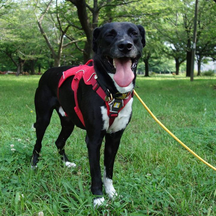 85857b92 1bc3 421a 9390 4d81b74a66bb 1591662464213