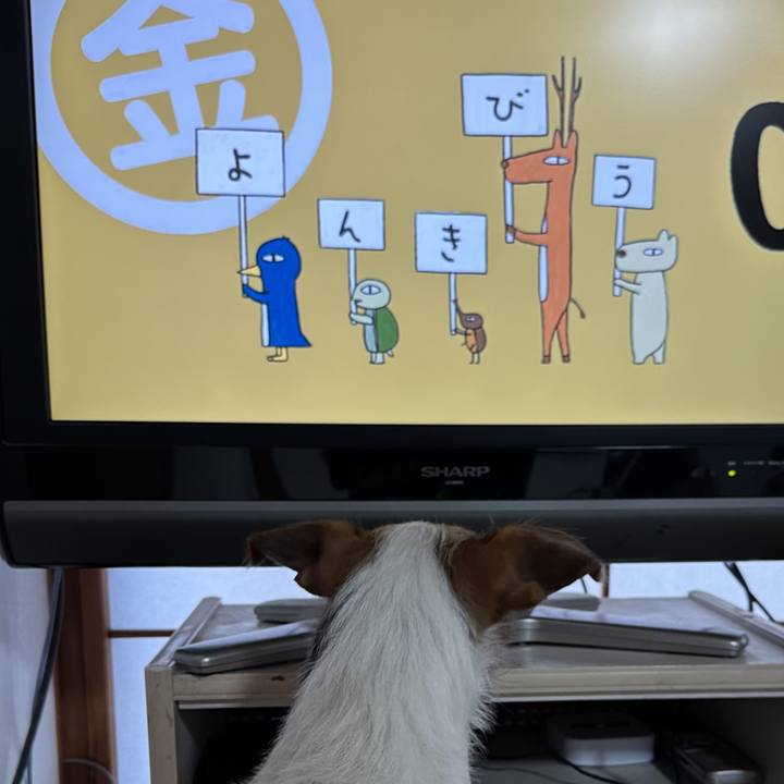 8585895b 948b 41db b9cb f3da9fedc602 1766700336677