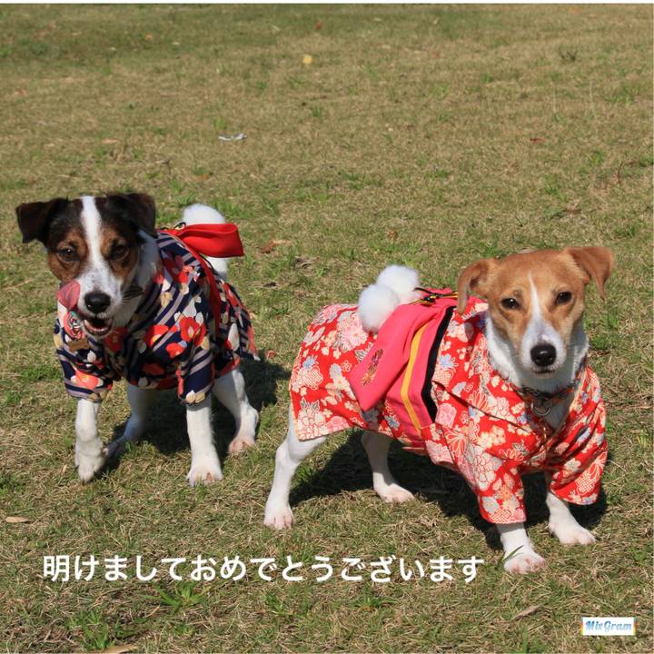 85863818 1cf5 4c68 bf43 3eede66469f9 1514734839231