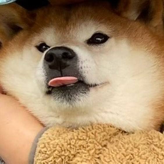 858651ab b43e 4a45 a470 dfc6825f1f02 1716846335504