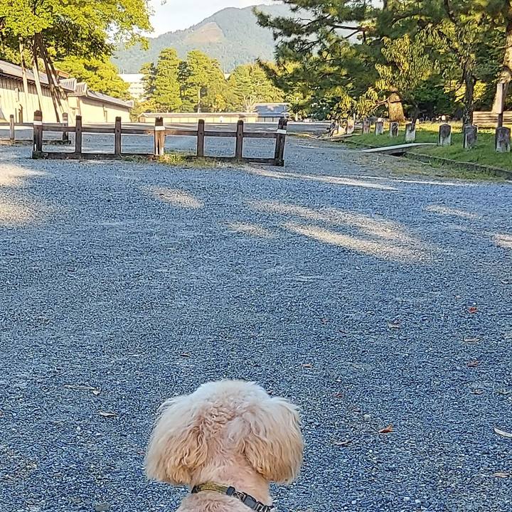 85868629 de67 4ac2 9a69 19d2a5a6b647 1633336035786