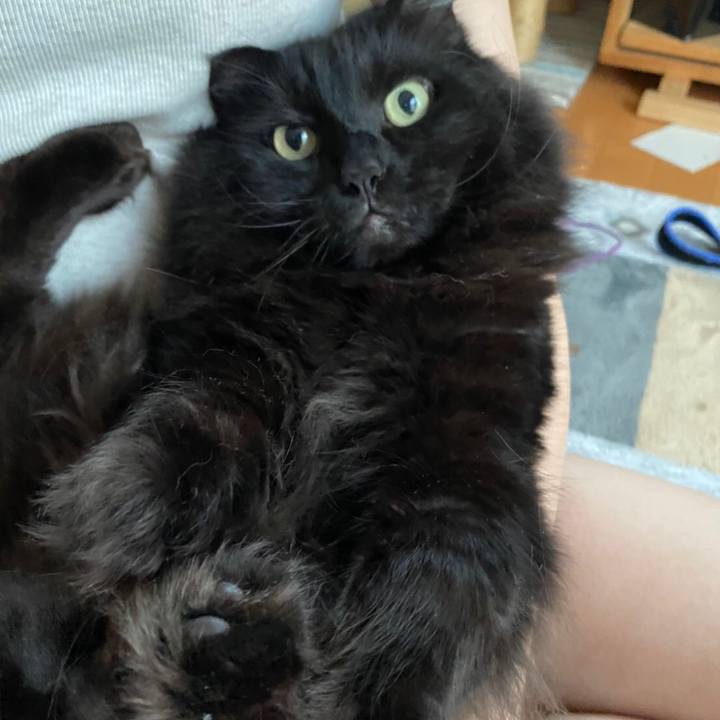 858686bc f643 4458 921e cf7e136d95f9 1594953989013