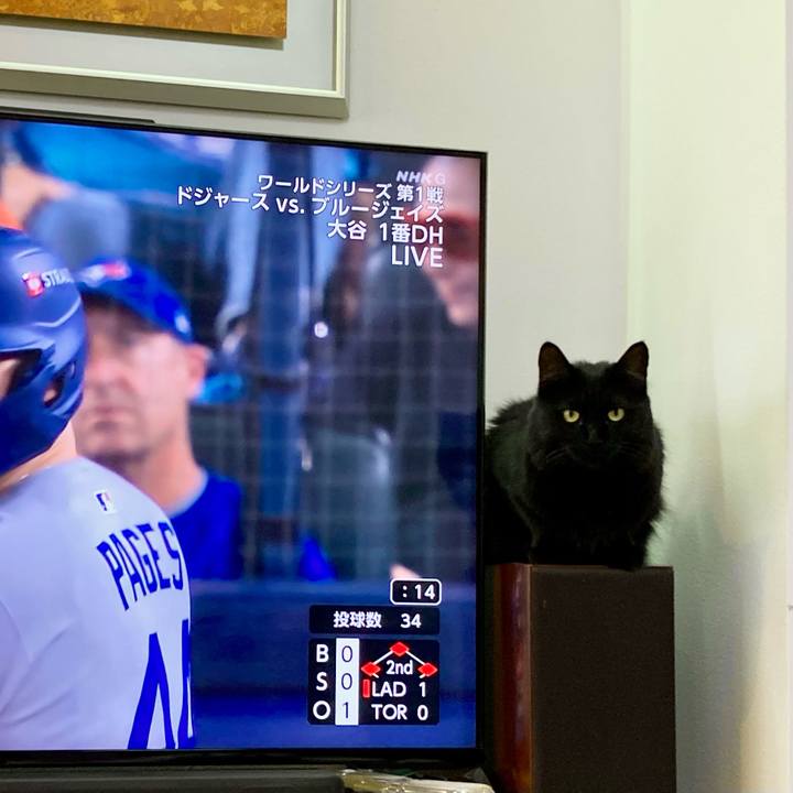 858688b3 6a95 471f ae13 92e9bf22702c 1761353725413