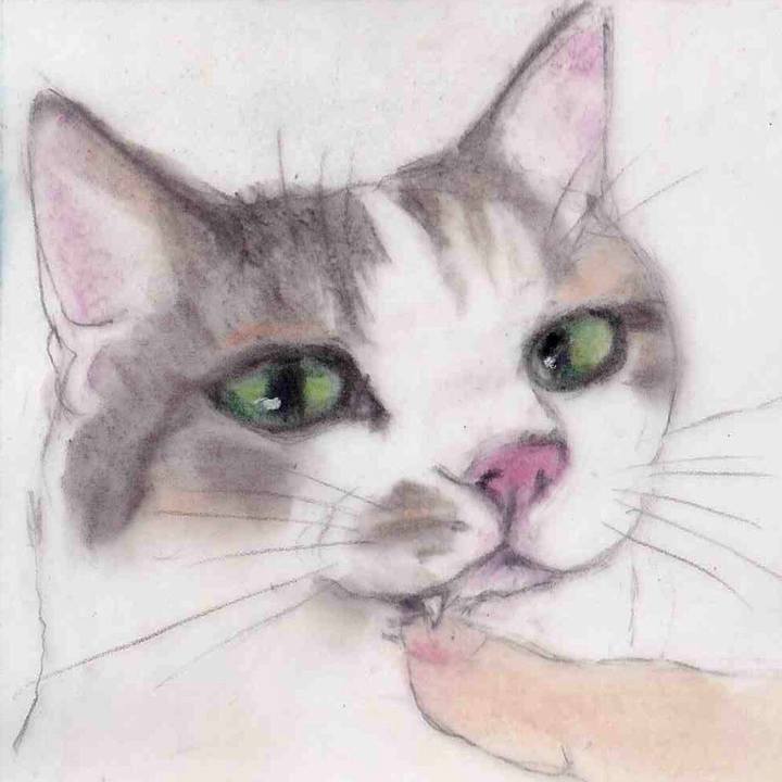 8586a7f0 31d9 4916 953c 2d0dc4f54e73 1647949958018