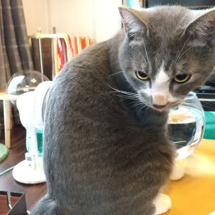 8586ac8a 1ad2 4838 b972 696702966a4b 1626129898088