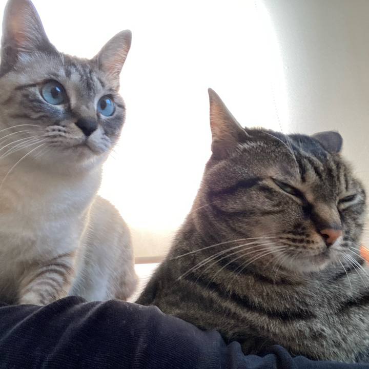 8586be41 6ce8 4917 a1e9 80b12e2939e9 1616486438887